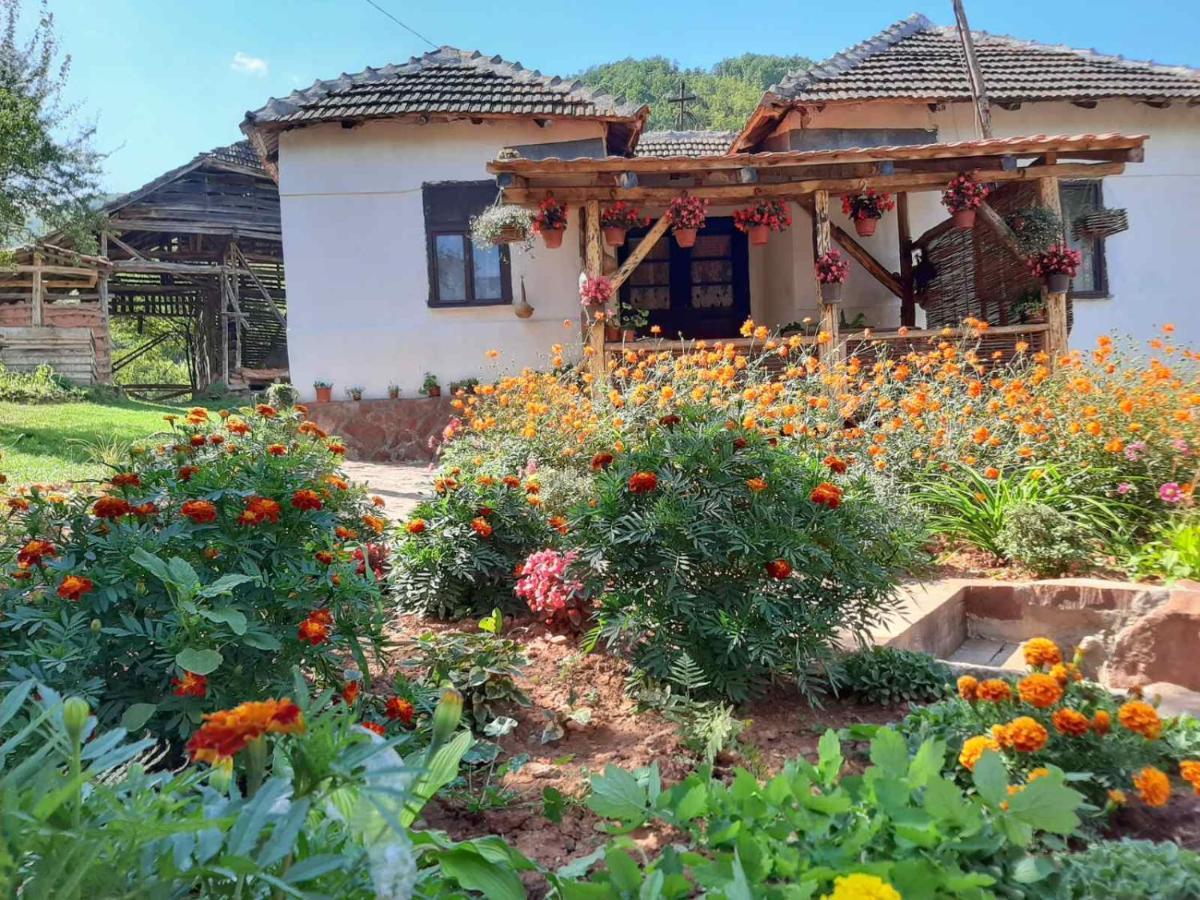 Seosko Domacinstvo „Gabar” Villa Custica ภายนอก รูปภาพ