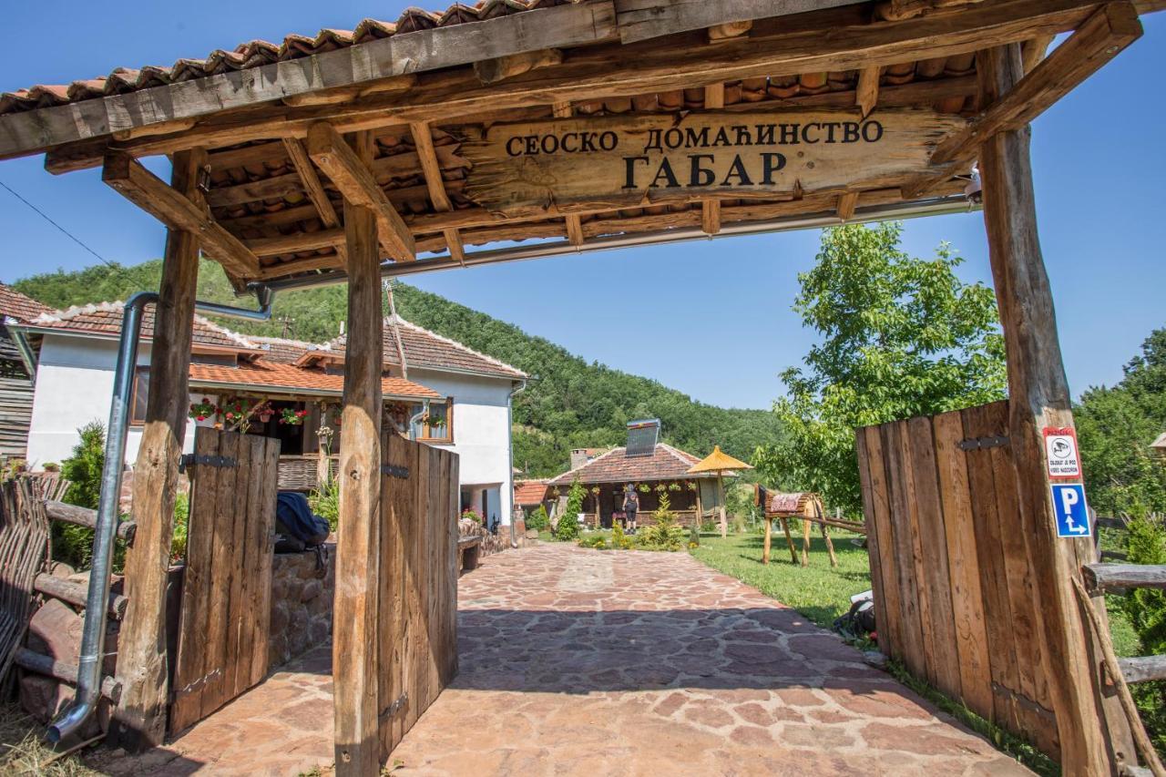 Seosko Domacinstvo „Gabar” Villa Custica ภายนอก รูปภาพ