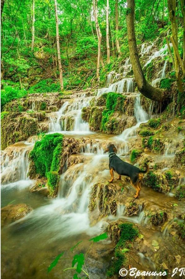 Seosko Domacinstvo „Gabar” Villa Custica ภายนอก รูปภาพ